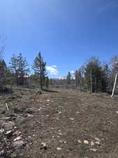 View of nature