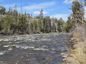 View of nature