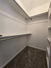 Spacious closet featuring dark colored carpet