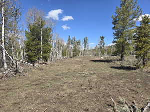 View of nature