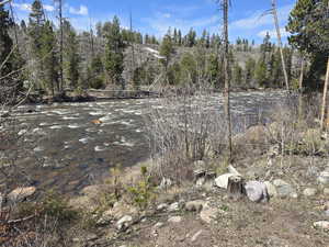 View of local wilderness