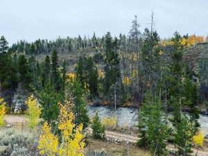 View of nature