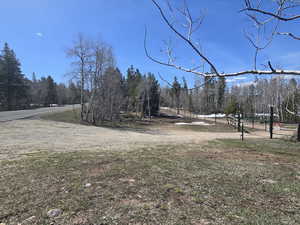View of yard featuring a view of trees