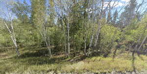 View of landscape featuring a view of trees