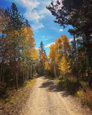 View of street featuring a view of trees