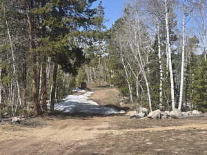 View of road