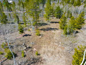 View of local wilderness