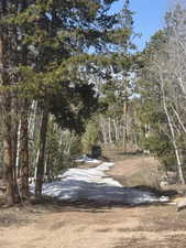 View of road