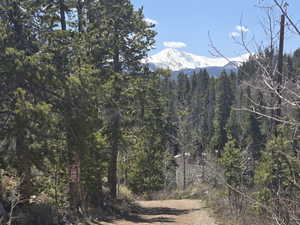 View of mountain feature featuring a wooded view