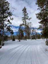View of yard covered in snow