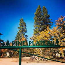 View of property's community