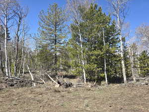 View of landscape