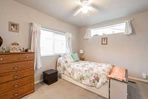 Bedroom with ceiling fan, baseboards, multiple windows, and carpet floors