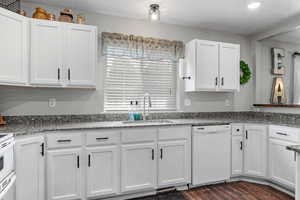 Kitchen featuring white dishwasher, dark wood-style flooring, white cabinetry, and a sink
