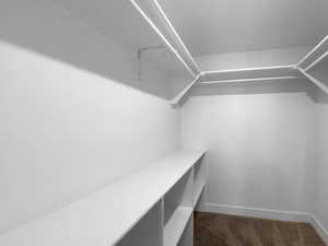 Spacious closet featuring dark carpet