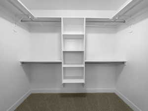 Spacious closet featuring carpet