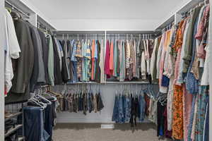 Spacious closet with carpet flooring