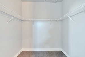 Spacious closet featuring carpet floors