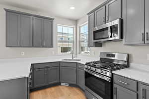 Kitchen with visible vents, a sink, appliances with stainless steel finishes, gray cabinetry, and light wood-style flooring