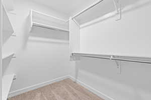 Spacious closet featuring carpet floors