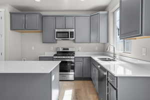 Kitchen with gray cabinets, a healthy amount of sunlight, a sink, and stainless steel appliances