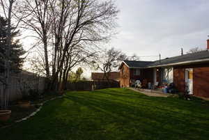 Back yard