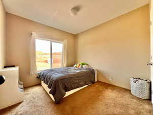 Bedroom with carpet