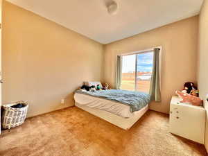 Bedroom with light colored carpet