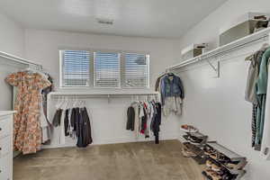Spacious closet with light carpet and visible vents