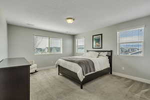 Bedroom featuring visible vents, light colored carpet, and baseboards