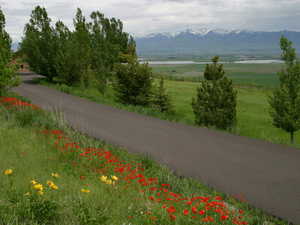 View of asphalt road featuring a mountain view and a view of countryside