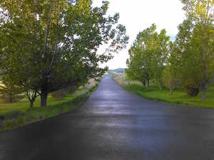 View of asphalt road