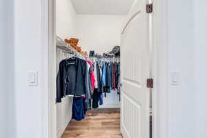 Walk in closet with light wood-type flooring