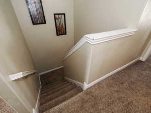 Stairway with baseboards and carpet