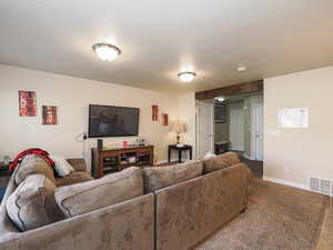 Living room featuring a textured ceiling, baseboards, carpet, and visible vents