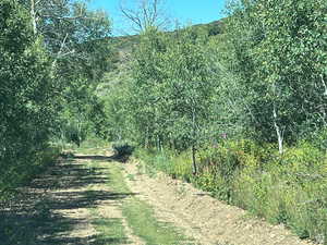 View of landscape featuring a forest view