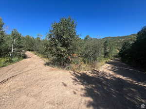 View of street with a wooded view