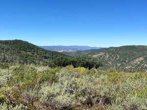Mountain view