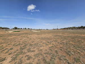 View of local wilderness with a rural view