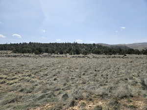 Beautiful property views with trees & mountains