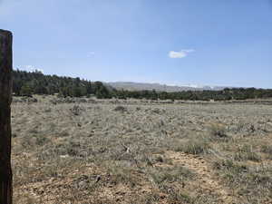 Beautiful property views with trees & mountains