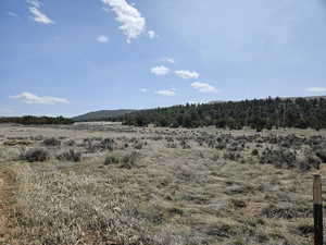 Beautiful property views with trees & mountains
