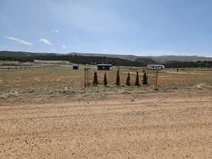 View of yard with a mountain view and a rural view