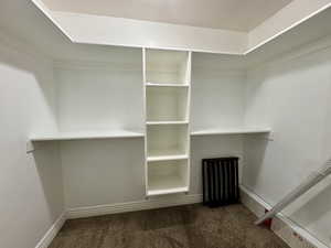 walk-in closet on primary bedroom