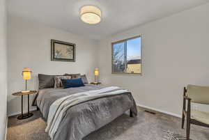 Bedroom with visible vents, baseboards, and carpet floors