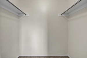 Spacious closet featuring carpet flooring