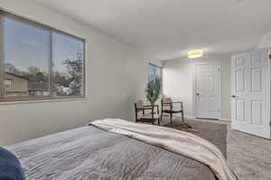 Bedroom featuring baseboards and carpet