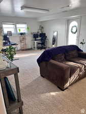 Living area featuring carpet