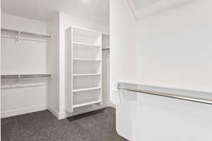 Spacious closet featuring dark colored carpet
