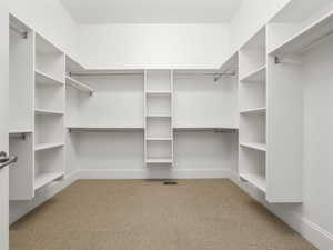 Spacious closet with visible vents and carpet floors